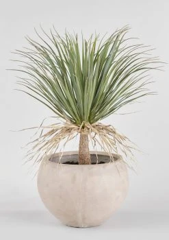 Faux Potted Palm Tree Plant In Cement Planter - 40"