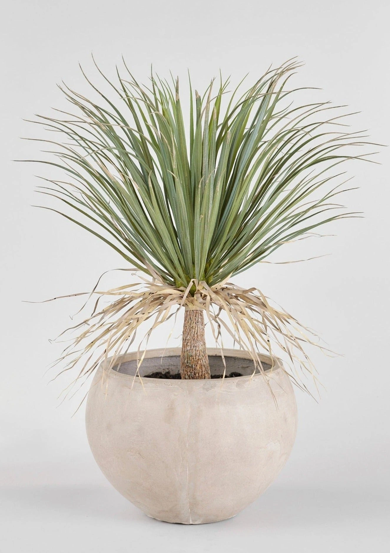 Faux Potted Palm Tree Plant In Cement Planter - 40" 1 Faux Potted Palm Tree Plant In Cement Planter - 40"