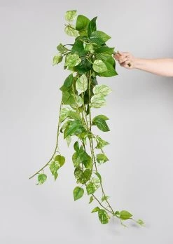 Natural Touch Pothos Artificial Plant - 48"