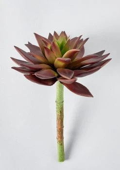 Burgundy Artificial Star Succulent Pick - 10"
