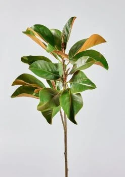 Faux Magnolia Leaf Branch - 41"