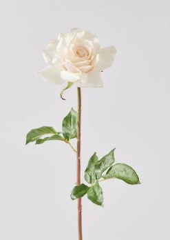 Real Touch Rose In Cream Peach - 20" -Afloral Sales Store WIN 96510NT BI Real Touch Rose Cream Peach