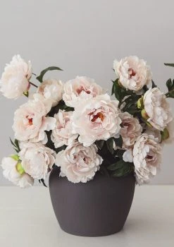 Real Touch Peony In Tissue Blush - 20.5" -Afloral Sales Store WhisperPinkPeoniesinBlackOversizedVase