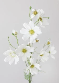 White Artificial Cosmo Daisy Flower - 37" 7 White Artificial Cosmo Daisy Flower - 37" -Afloral Sales Store WhiteCosmosFlowers
