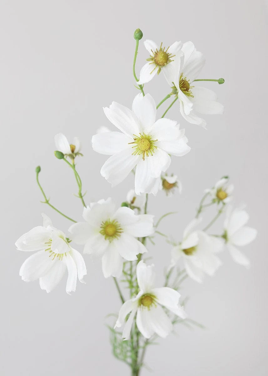White Artificial Cosmo Daisy Flower - 37" 4 White Artificial Cosmo Daisy Flower - 37" - Image 4