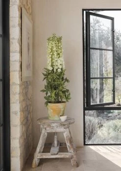 Potted Floor Plant Of Artificial White Delphinium - 48"